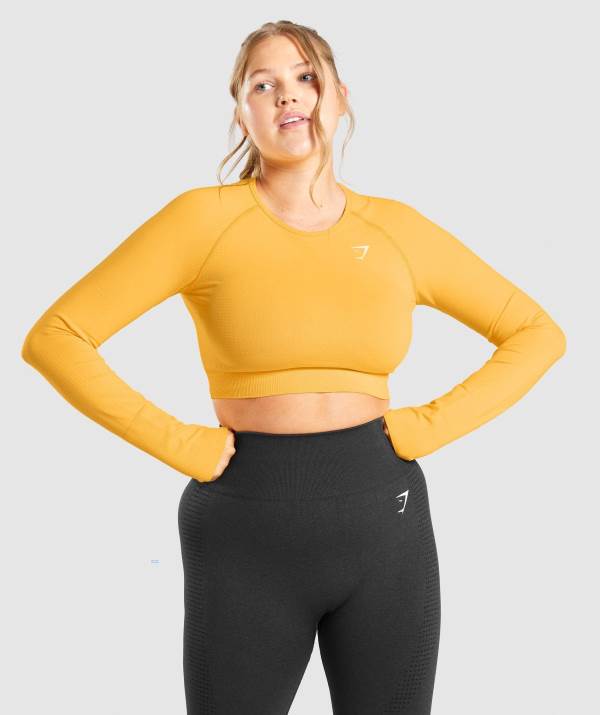 Damske Crop Top Gymshark Vital Seamless 2.0 Long Sleeve Žlté | IV5462378